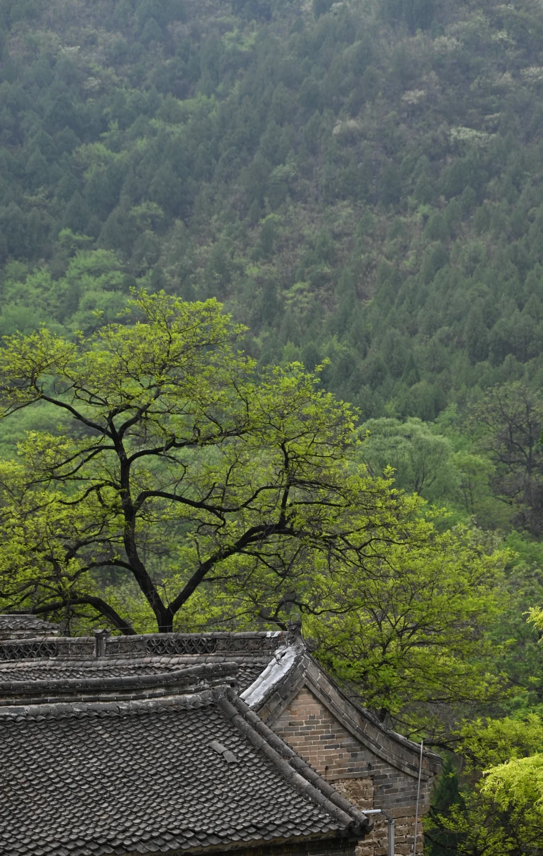 邯郸娲皇宫｜太行山中的天宫佛国