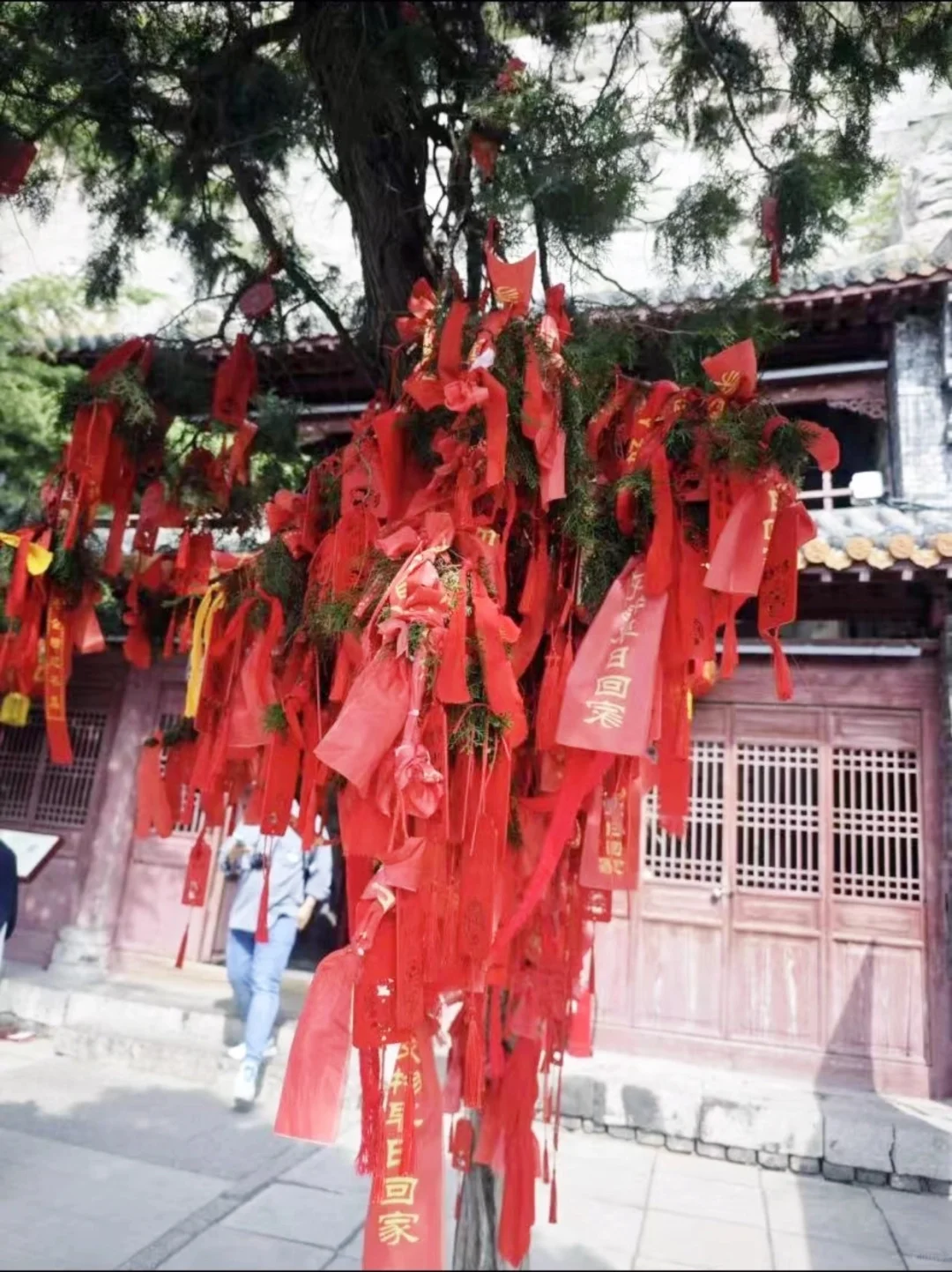 🔥【邯郸必打卡】穿越千年，邂逅燕赵风华！