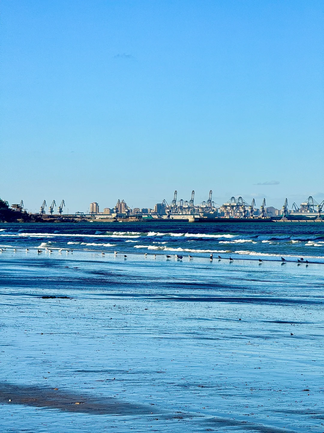 又想去烟台噜!(有攻略版