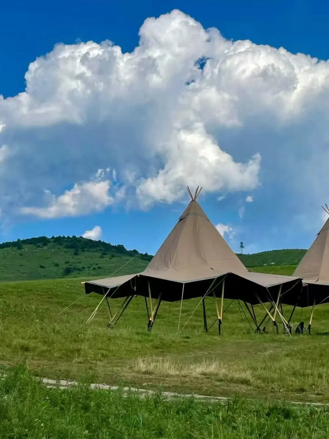 山西新晋“阿勒泰”拍照绝绝子