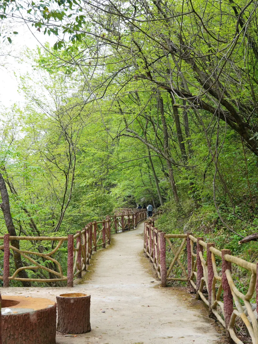 五一避开人潮！闯入现实版绿野仙踪！！