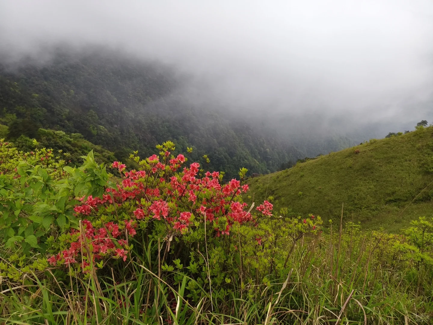 武功山/因为是经典反穿线所以必须走一次呀