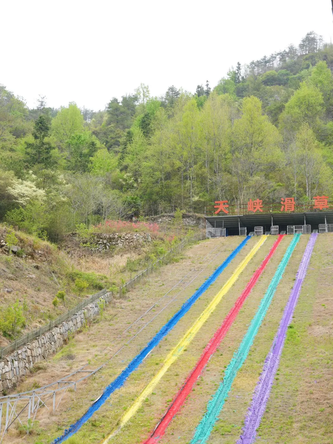 五一避开人潮！闯入现实版绿野仙踪！！