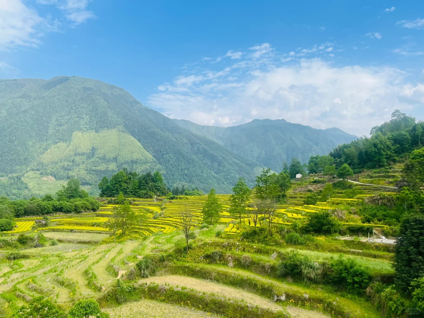 五一上海出发，极限打卡丽水+缙云详细版