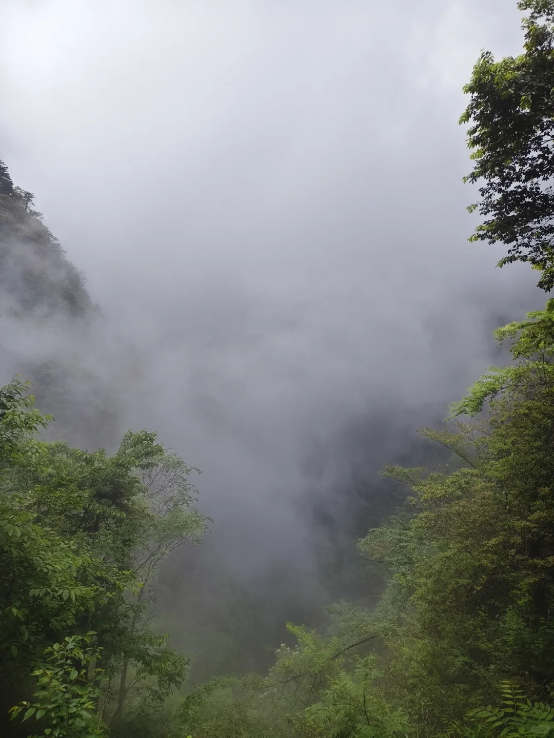 武功山/因为是经典反穿线所以必须走一次呀