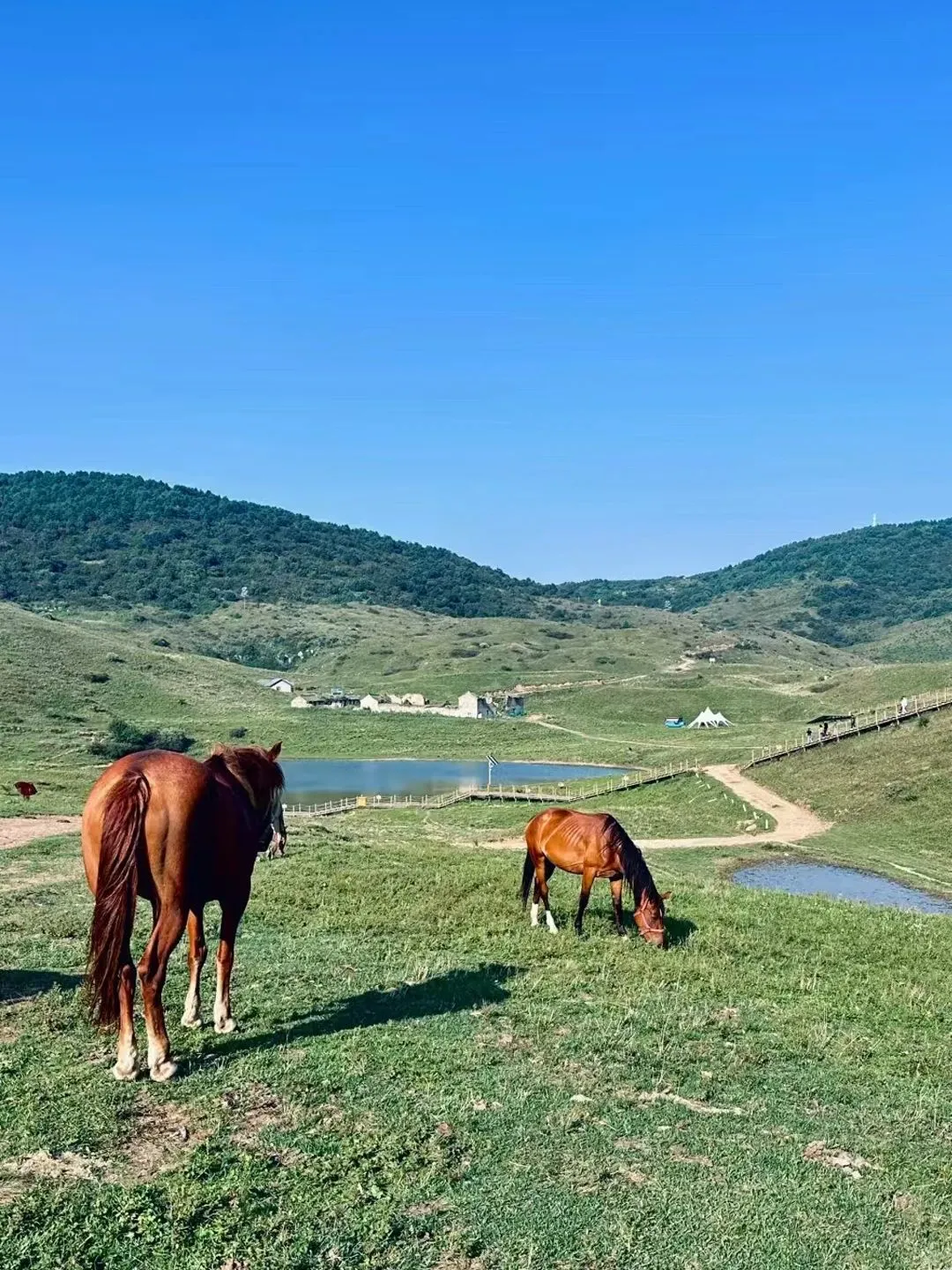 山西新晋“阿勒泰”拍照绝绝子