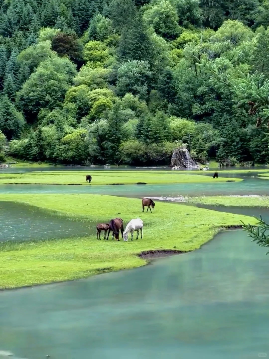 live直出📍以为甲根坝够美了！直到我来了这