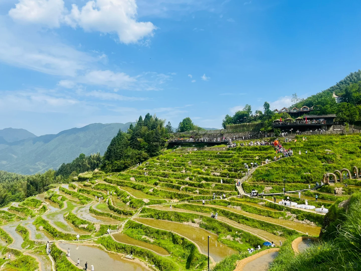 五一上海出发，极限打卡丽水+缙云详细版