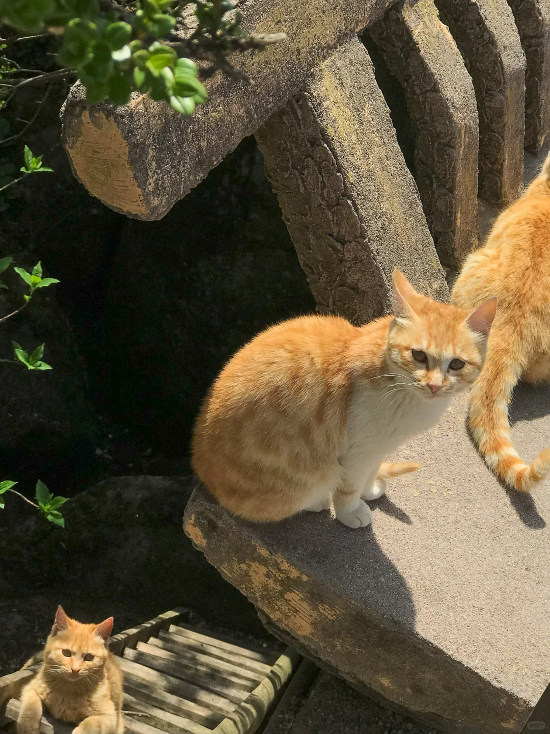 比起黄山！我更爱这座李白都二刷的仙山！