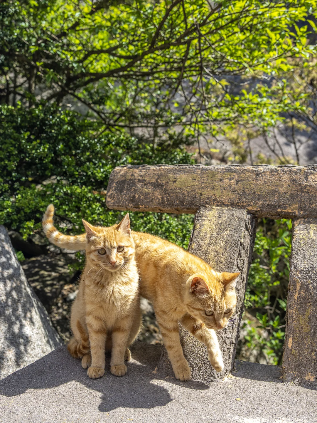 比起黄山！我更爱这座李白都二刷的仙山！