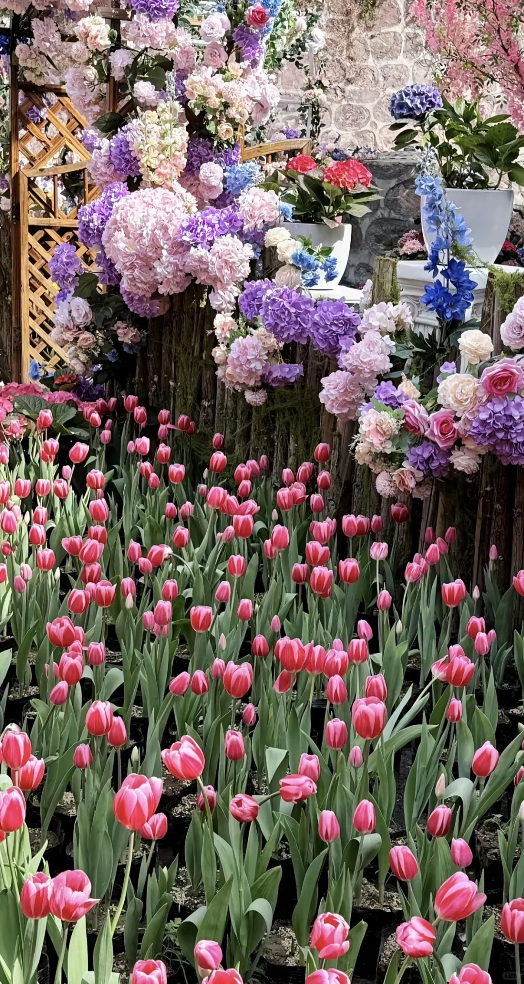 【河南 新乡】五一撒欢攻略