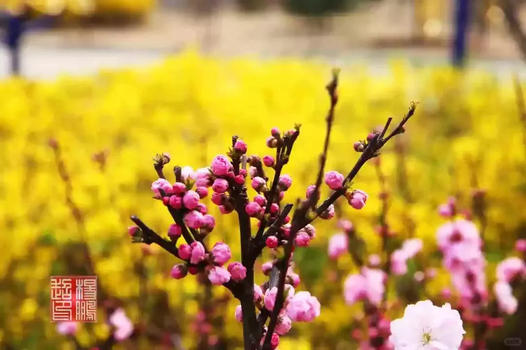 误入人间宫阙，邂逅绝美落霞