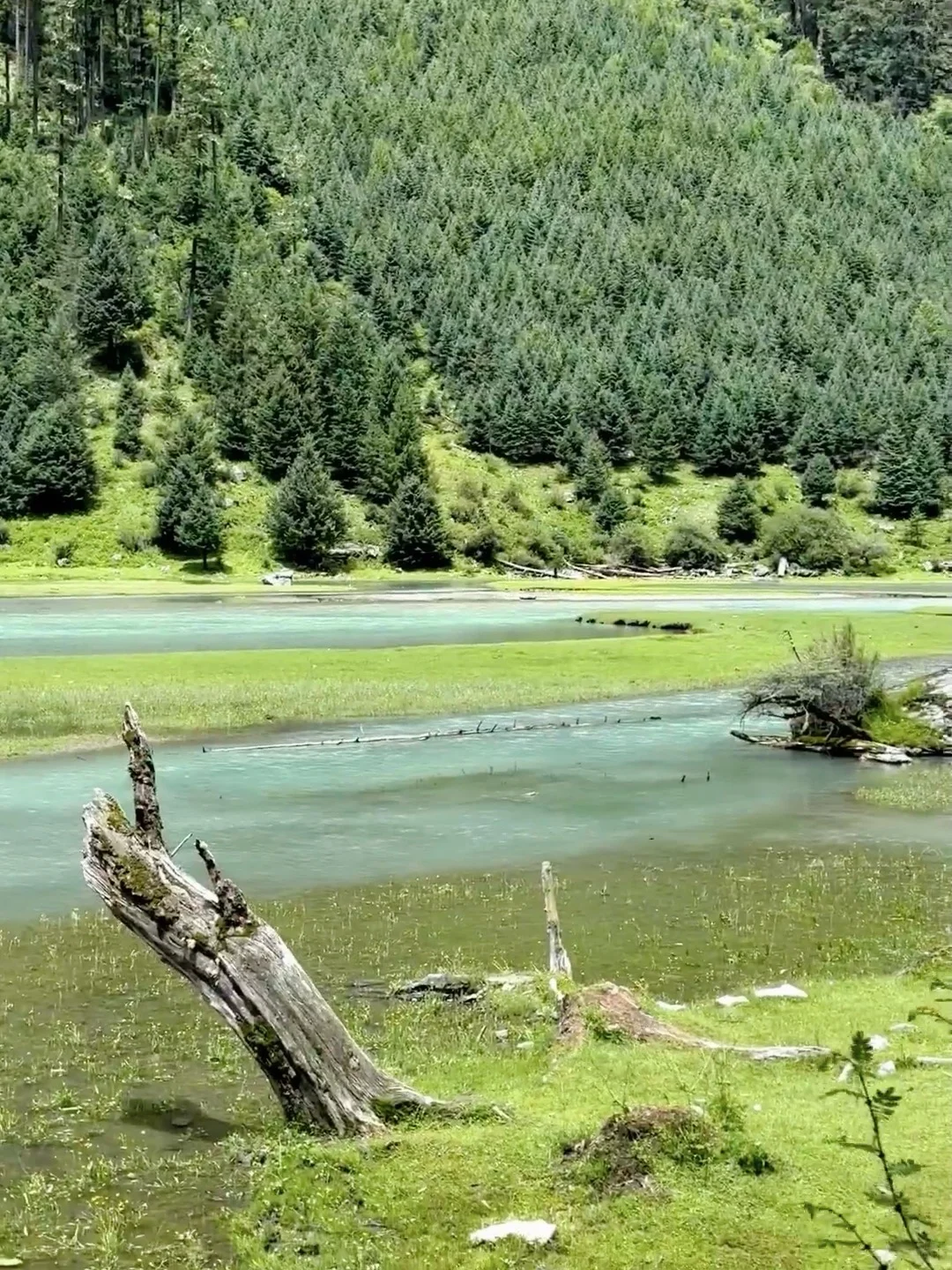live直出📍以为甲根坝够美了！直到我来了这