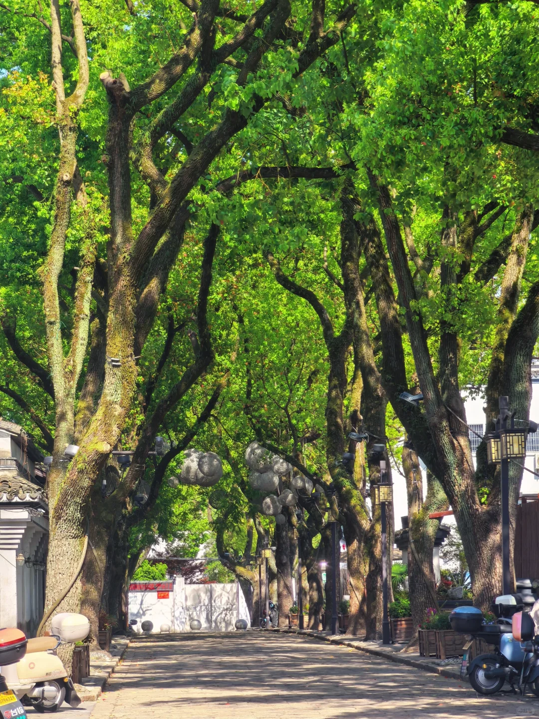 “南浔古镇｜我找到了《梦华录》同款江南！