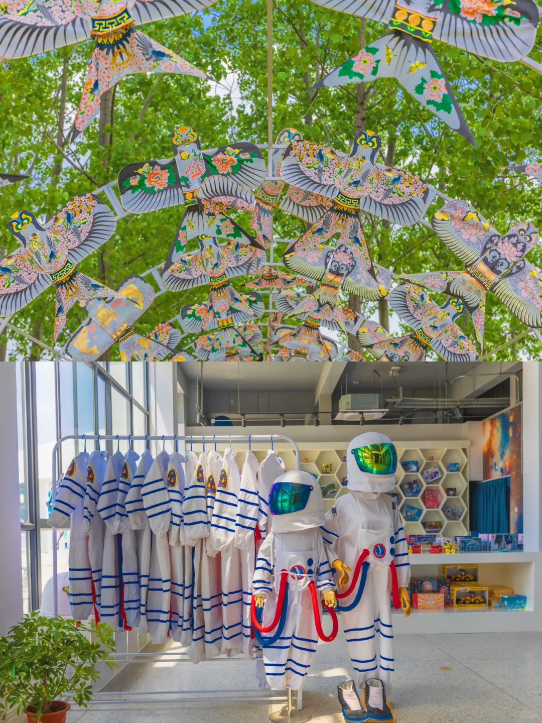 听劝‼️五一旅行就来尚湖景区游玩吧