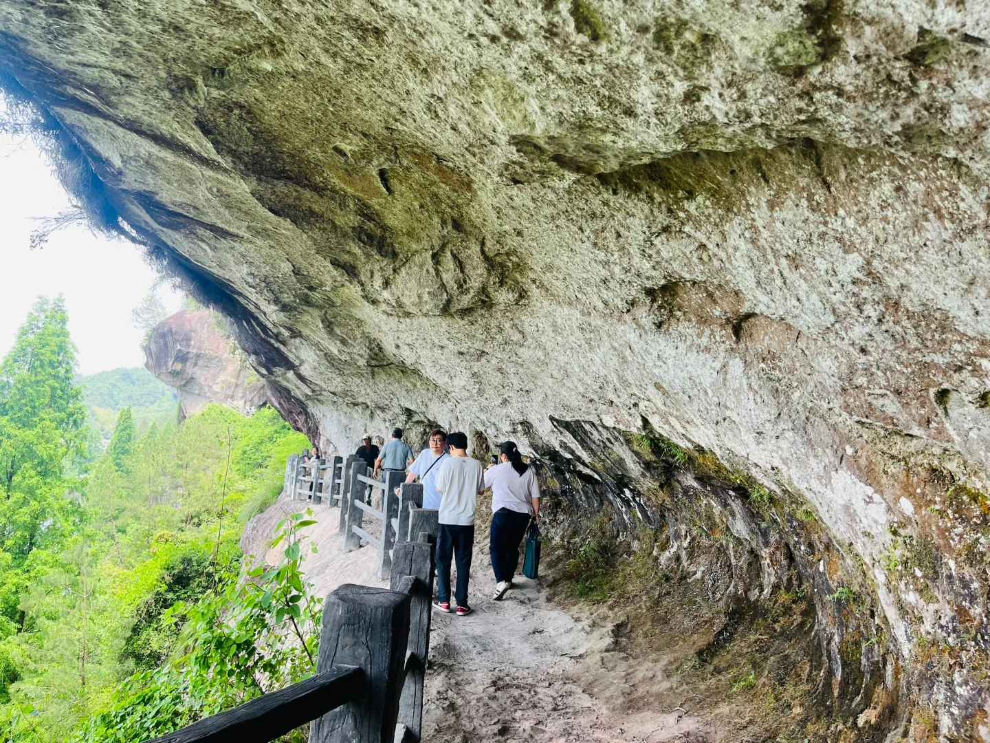 五一上海出发，极限打卡丽水+缙云详细版