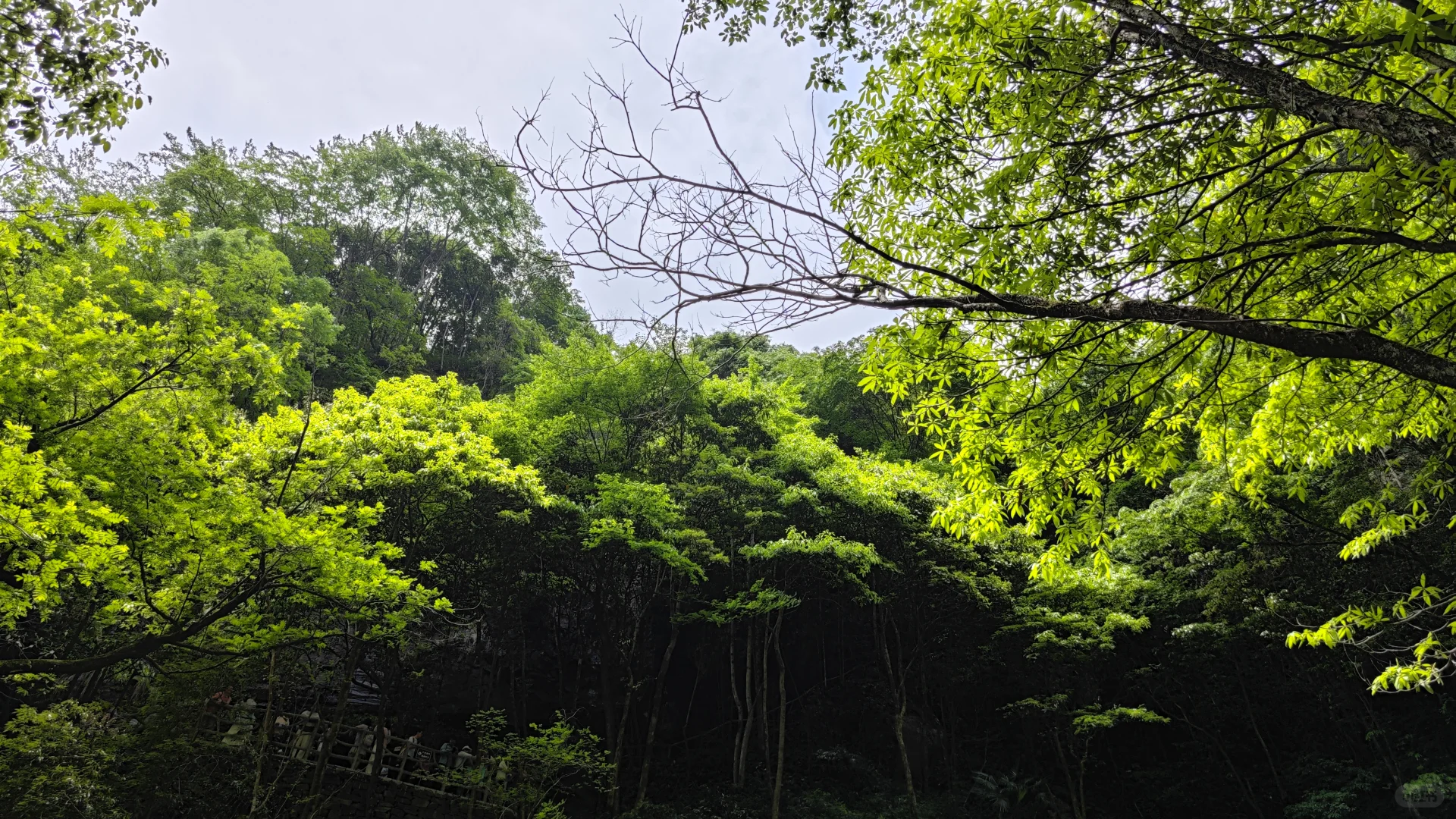 五一反向旅行之牯牛降吐槽篇