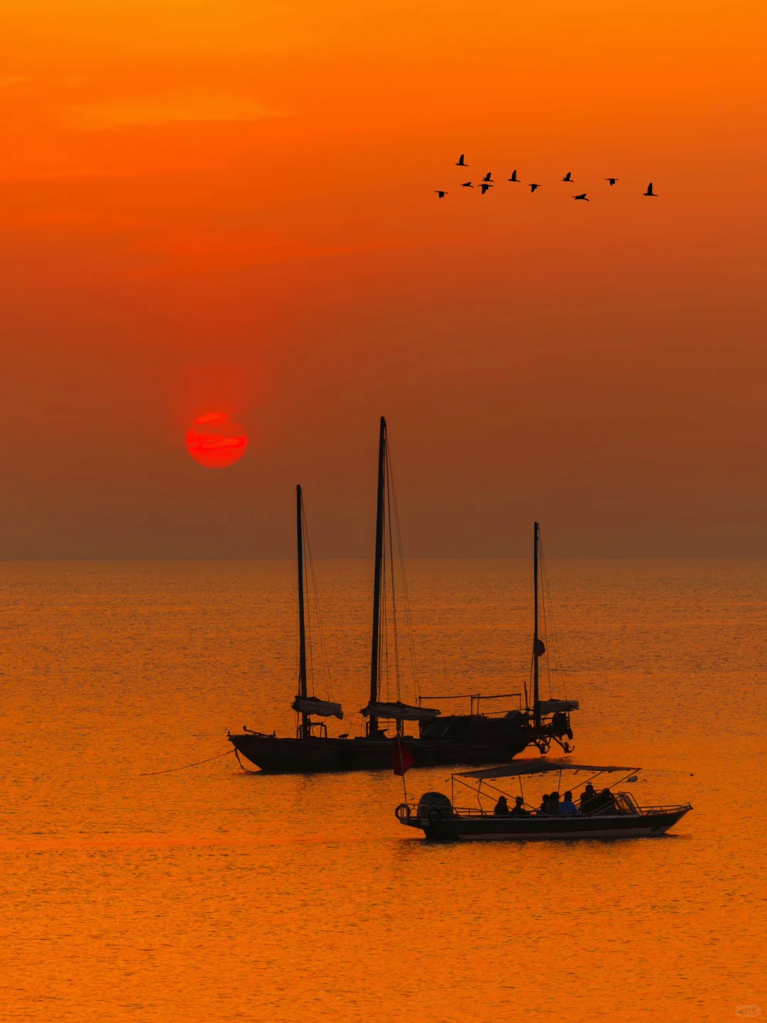 扬州已经很美了|直到来到汪曾祺笔下的高邮