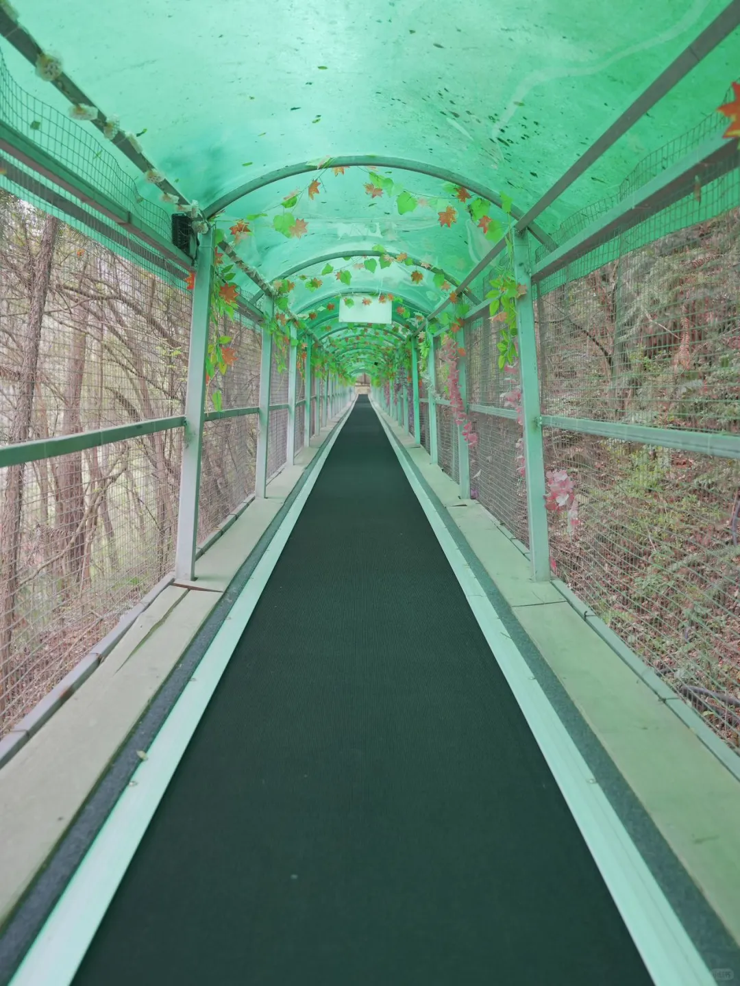 五一避开人潮！闯入现实版绿野仙踪！！