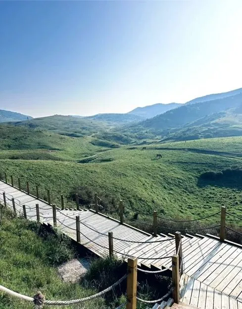 山西新晋“阿勒泰”拍照绝绝子