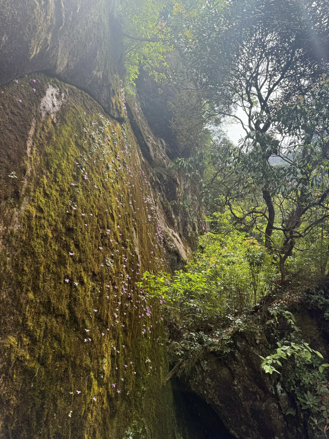 📍𝐉𝐢𝐚𝐧𝐠𝐗𝐢•三清山