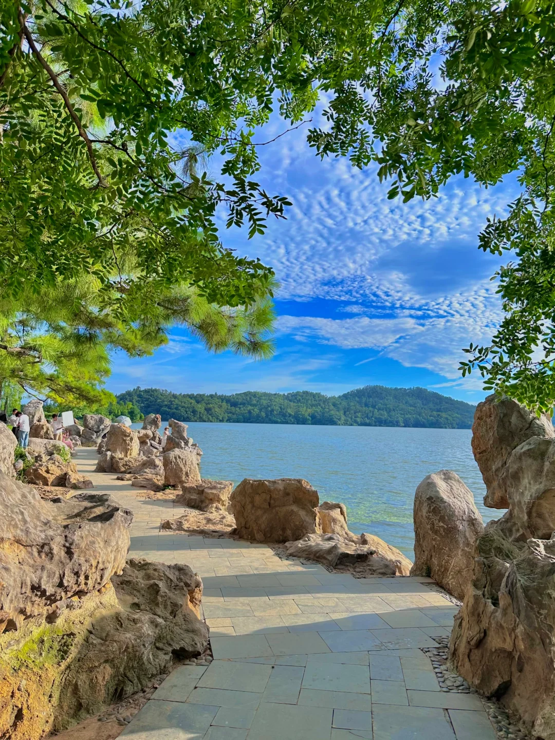 听劝！来东湖几百次，不做攻略等于白来😅