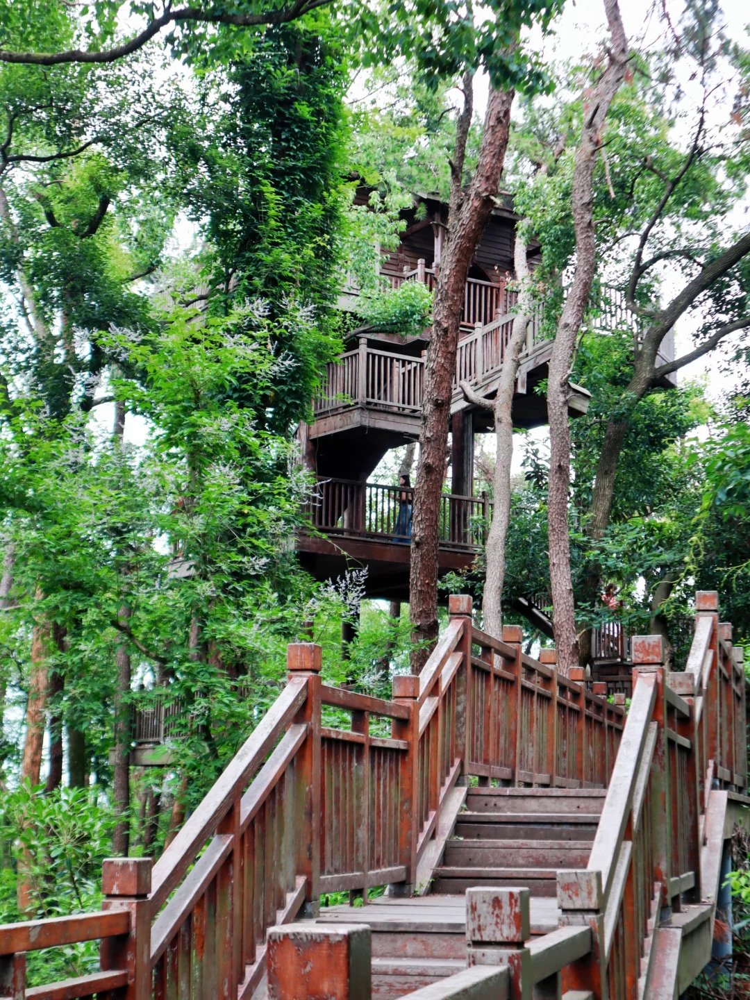 听劝！来东湖几百次，不做攻略等于白来😅