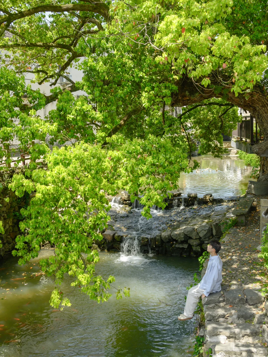 江浙沪真正冷门有趣的小城，我推荐一个