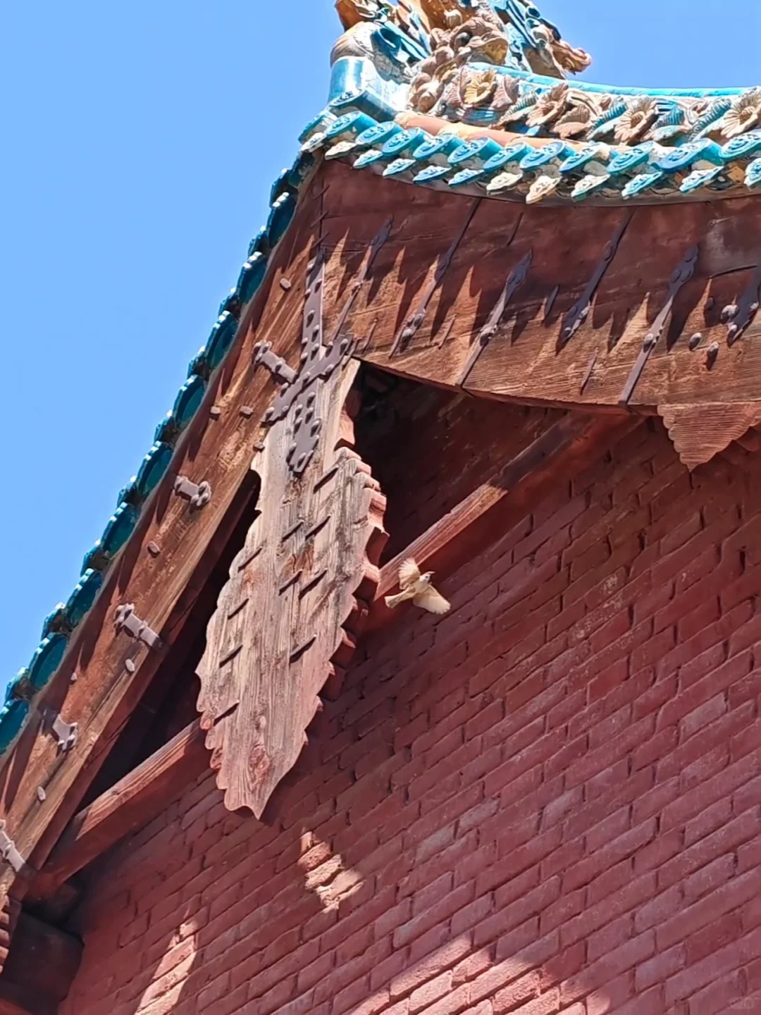 小西天土地，五一在此恭迎天命人！