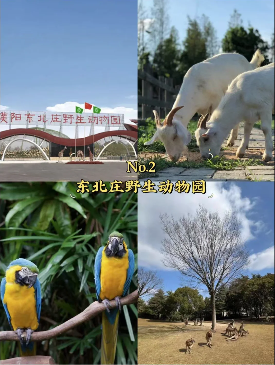 濮阳｜必去9大景点、你去过几个？