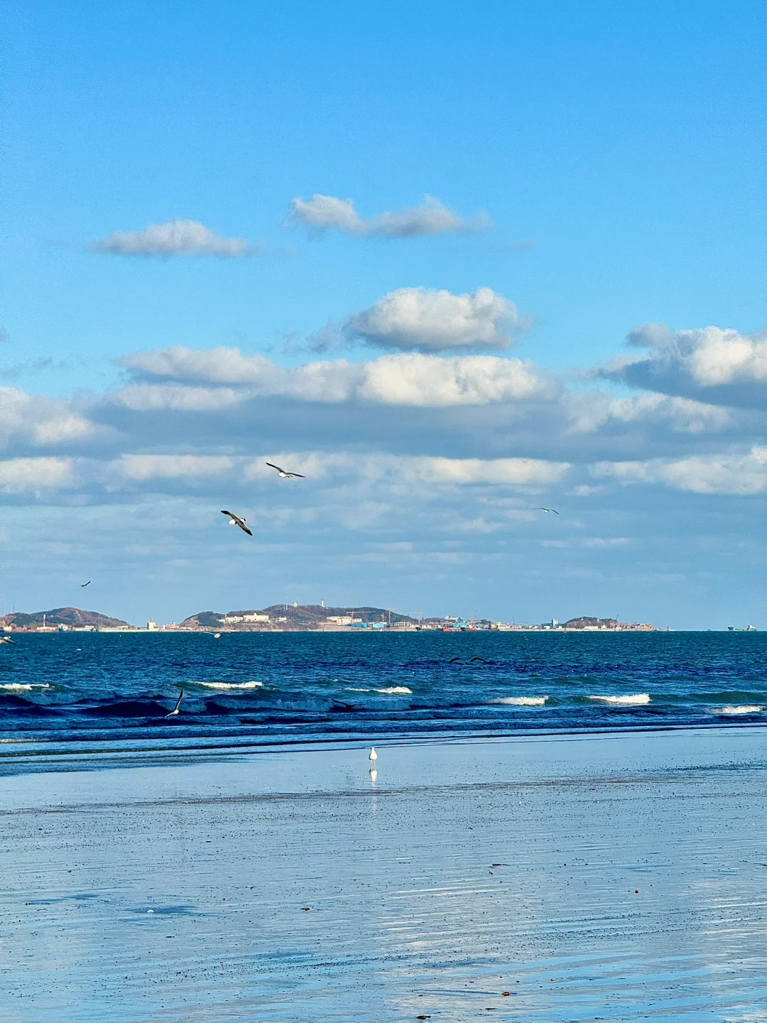 又想去烟台噜!(有攻略版