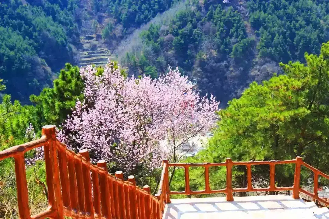 误入人间宫阙，邂逅绝美落霞