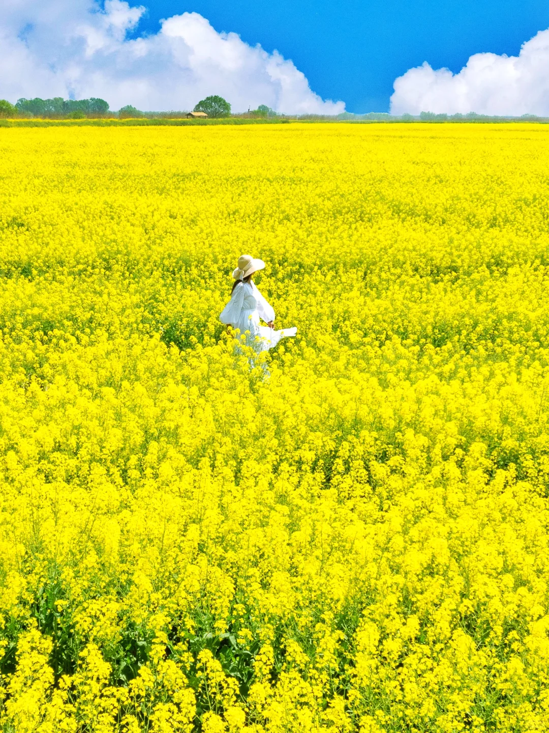 扬州已经很美了|直到来到汪曾祺笔下的高邮
