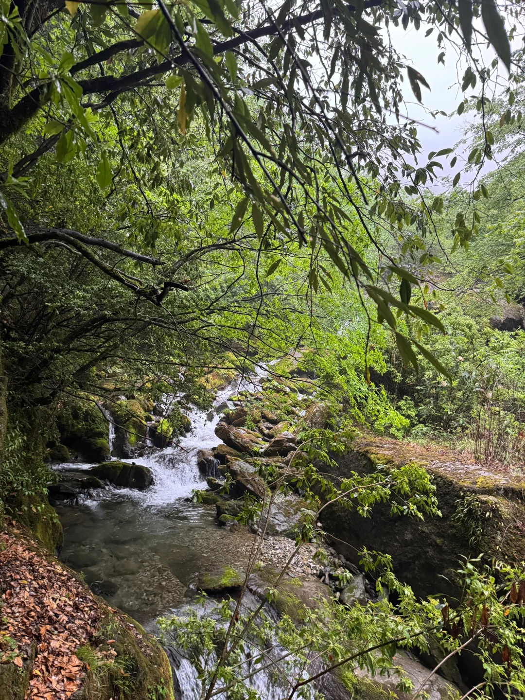 神农架五个景点包车一日游