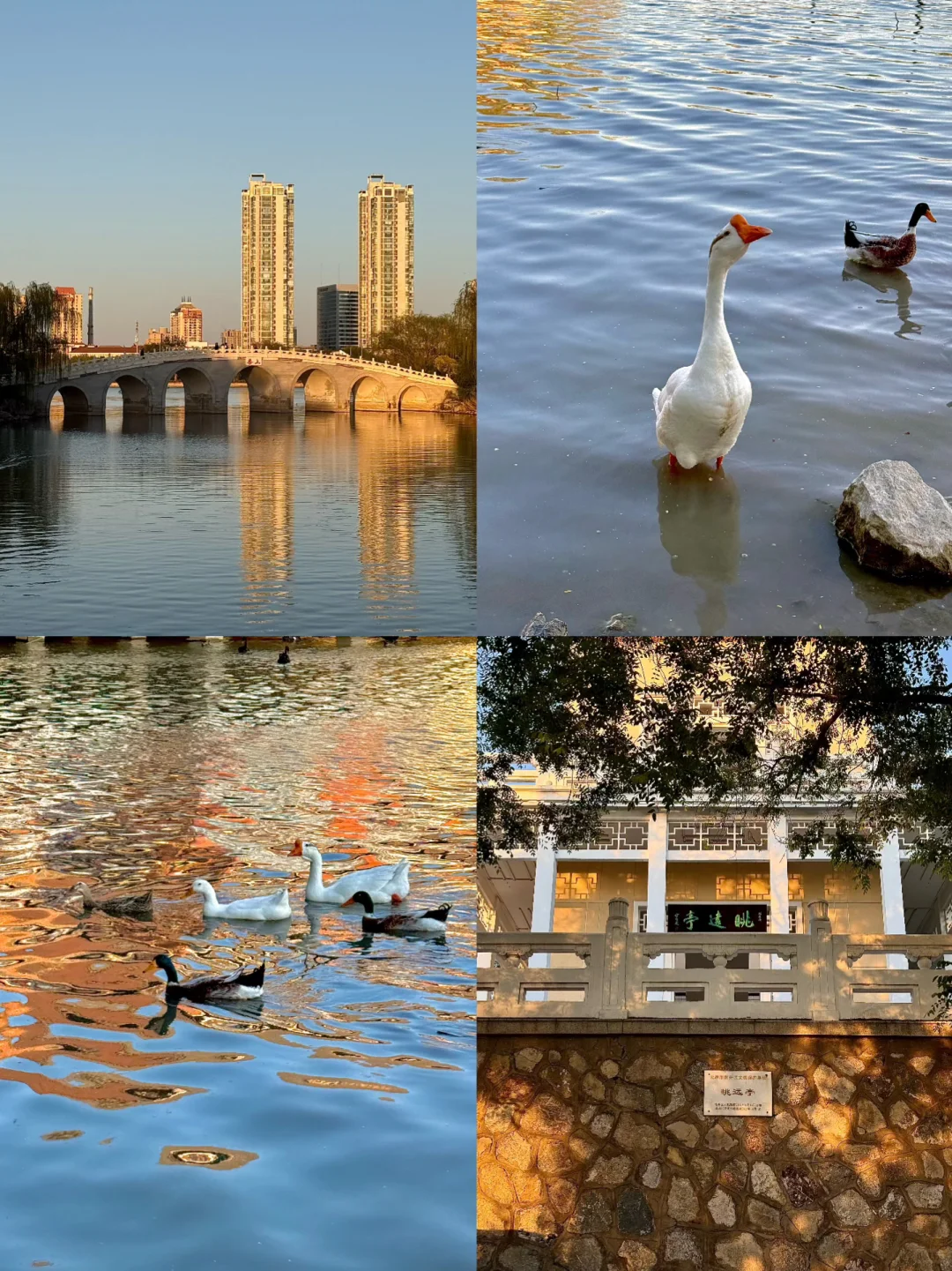 95后女生五一水上公园一日游，都玩了什么⁉️