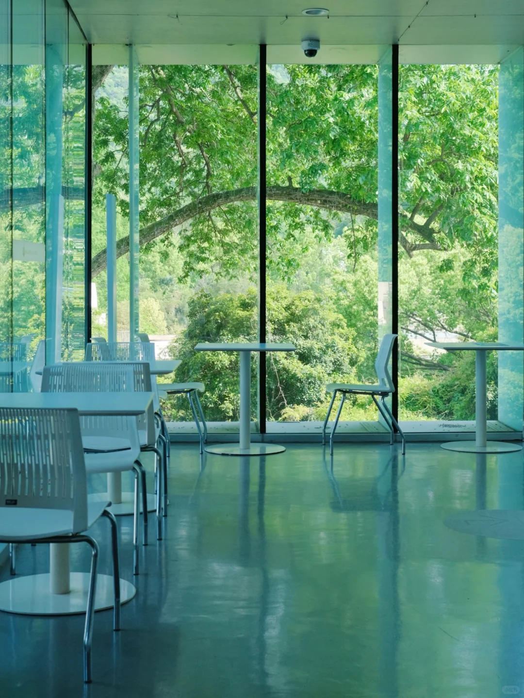 五一来杭州，教你如何避开人群小众游～