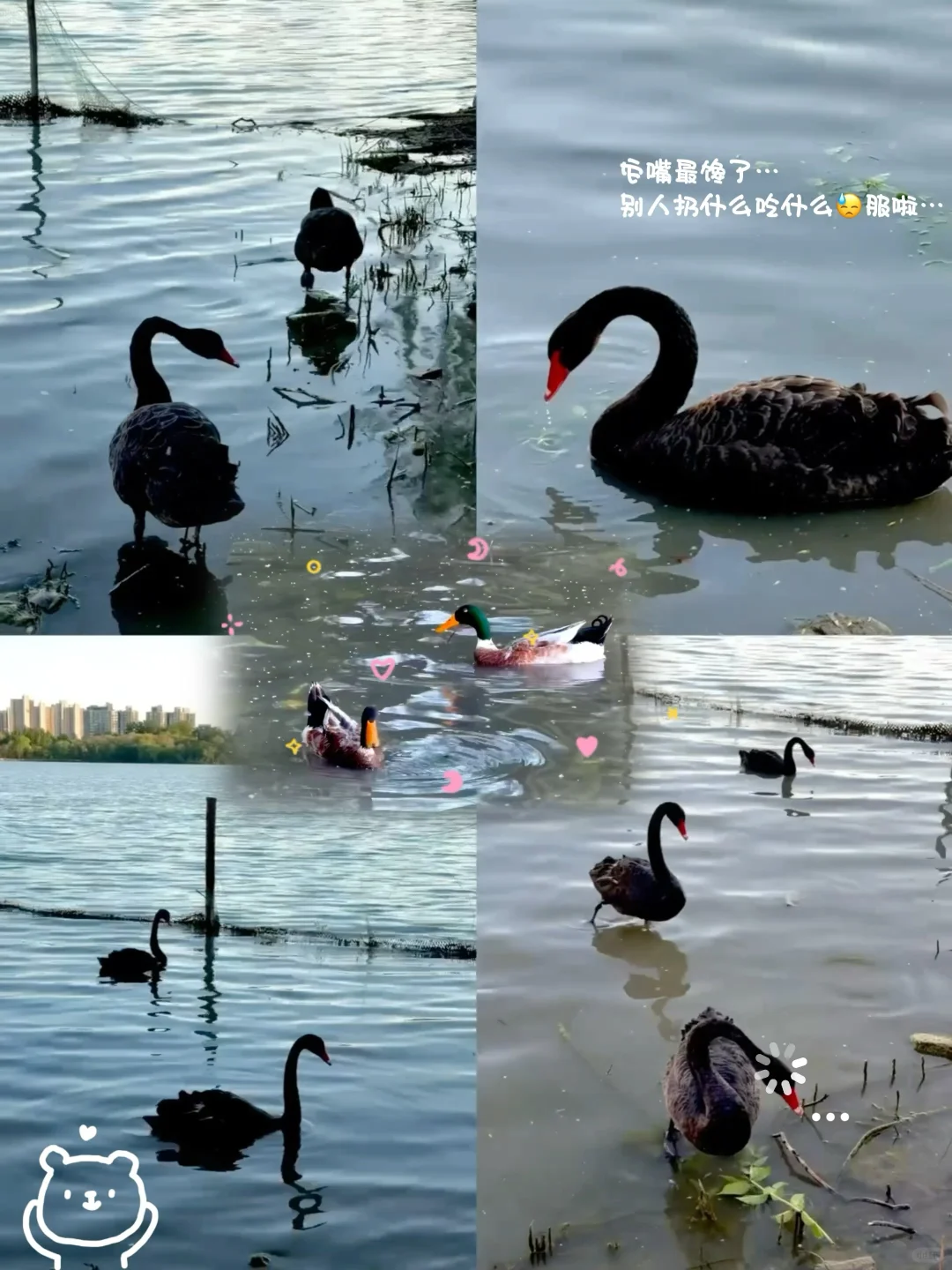 95后女生五一水上公园一日游，都玩了什么⁉️