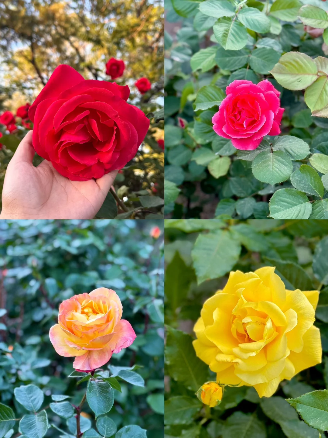 95后女生五一水上公园一日游，都玩了什么⁉️