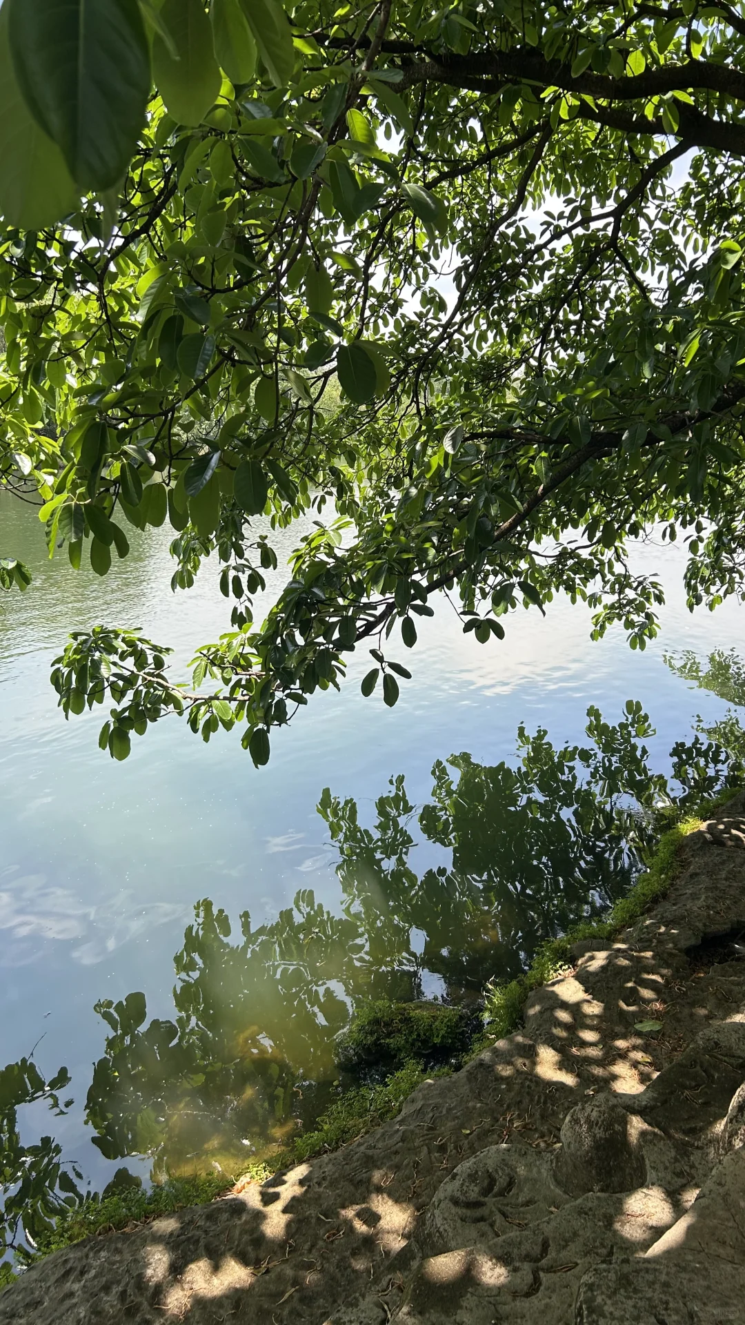 黄果树瀑布真是不去胜似去