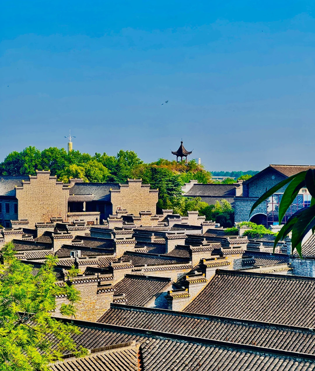 2天1夜镇江游—主打一个慢悠悠