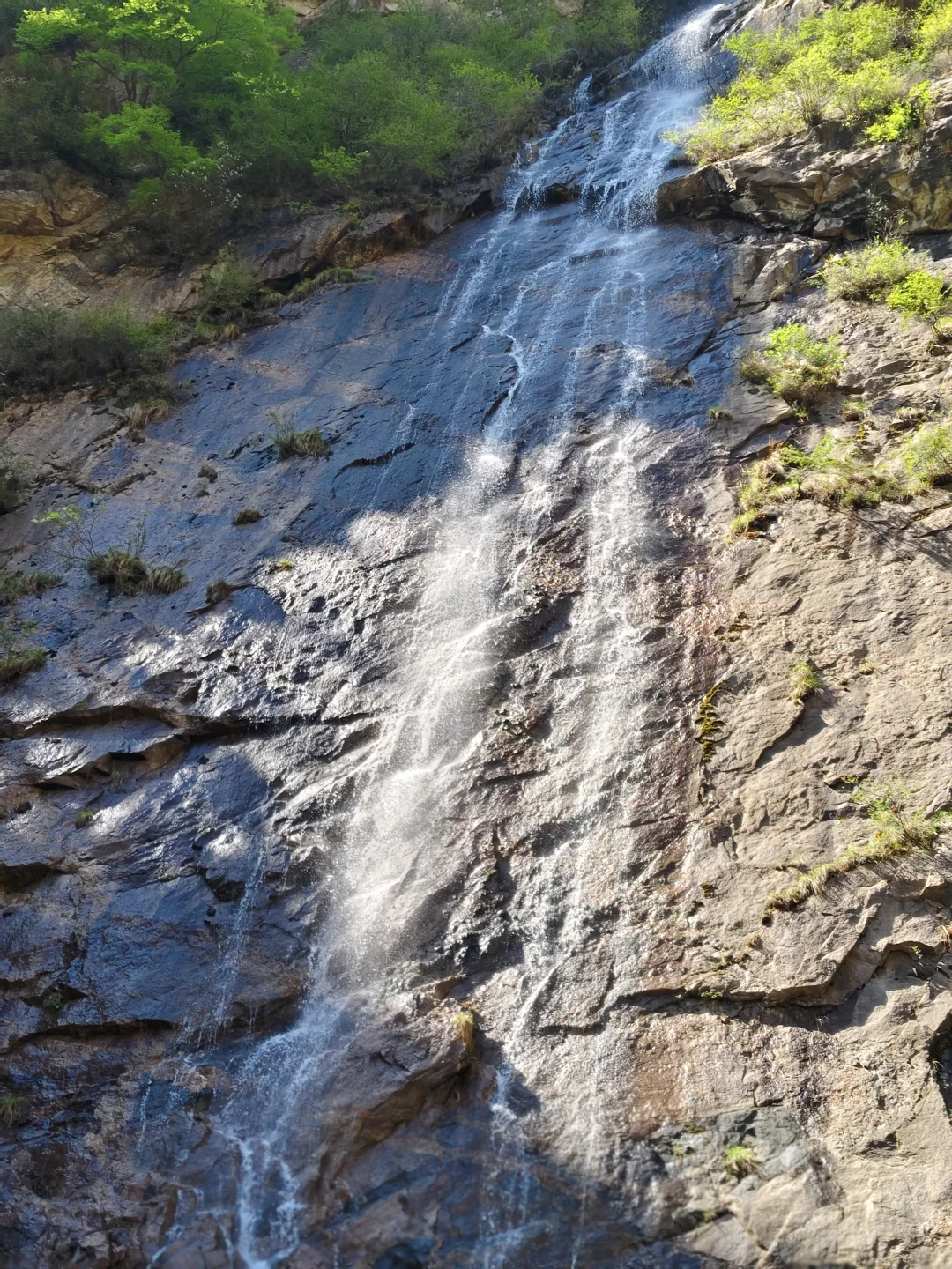 五一漫山花溪谷