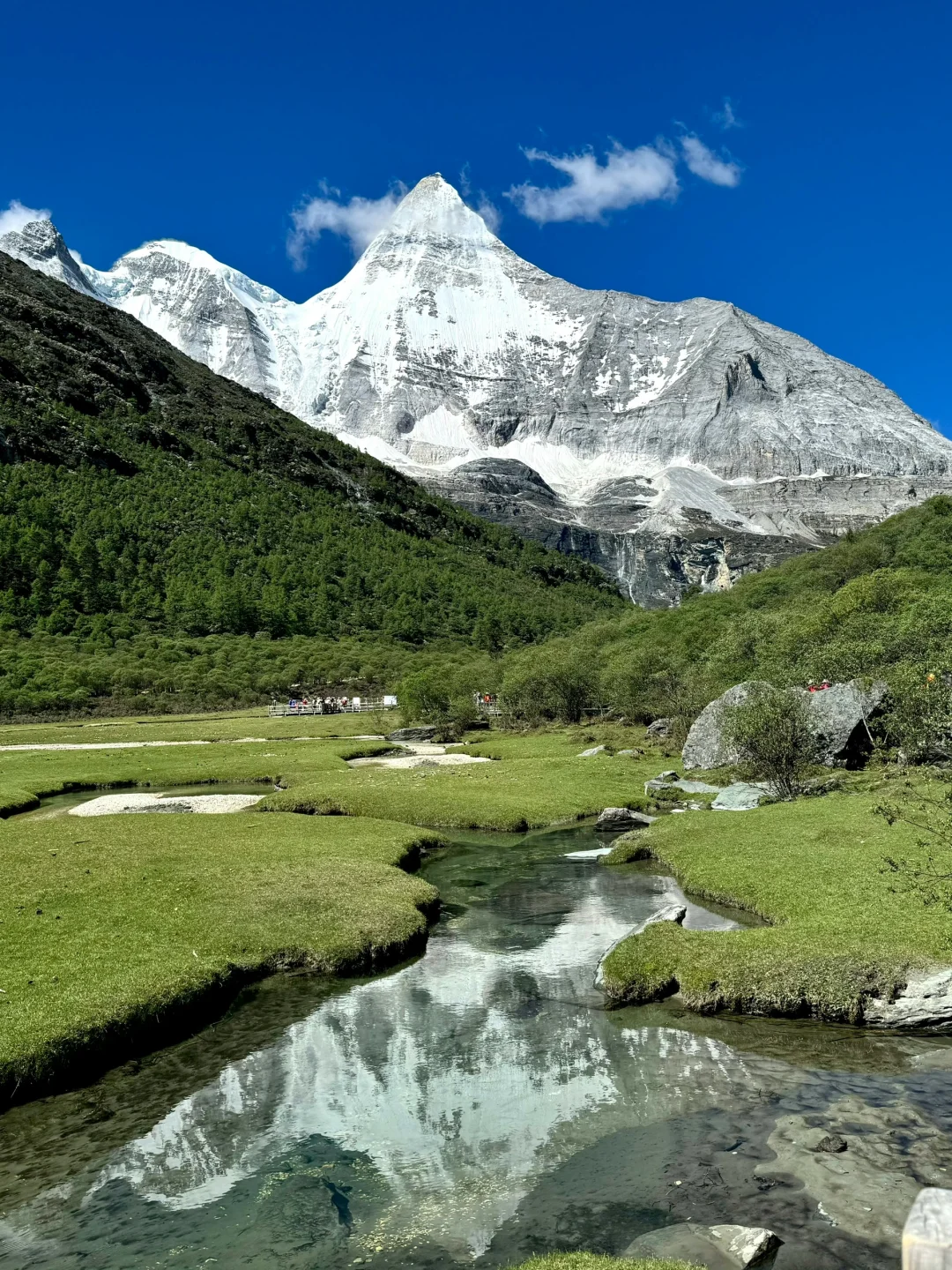 5.1📍稻城亚丁刚回！live实况+避坑指南❗️