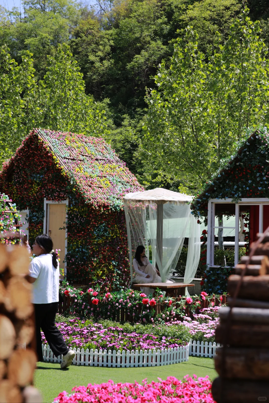 🌺五一封神级出片！闯进现实版莫奈花园，