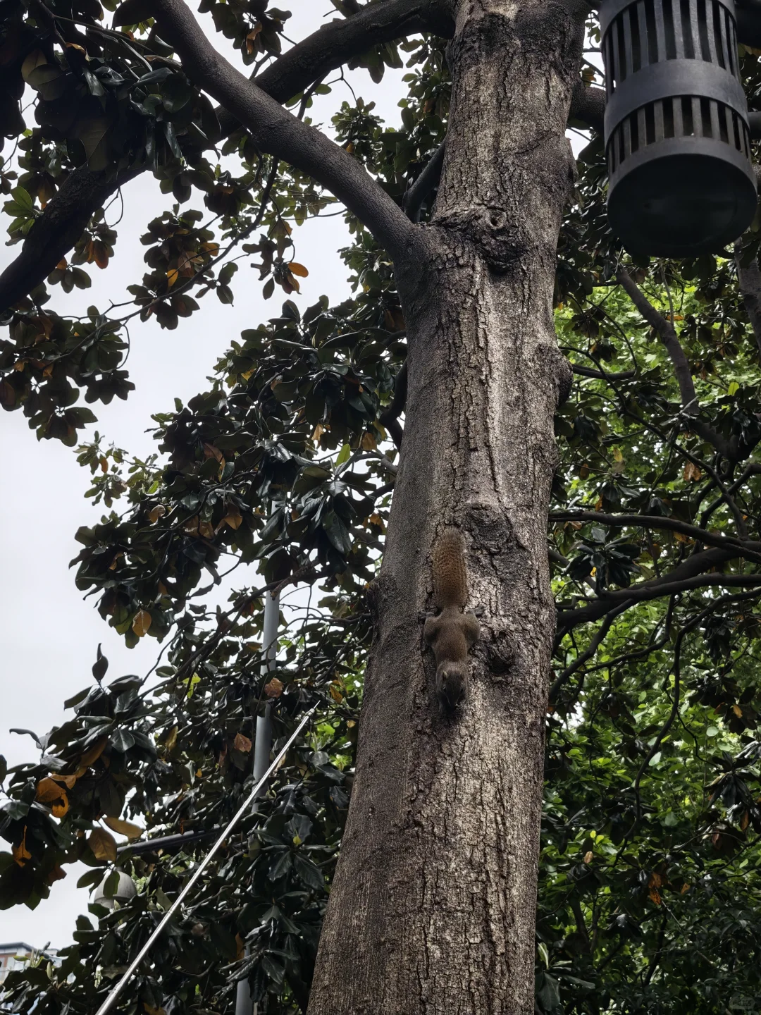 绍兴-杭州三天两晚旅行