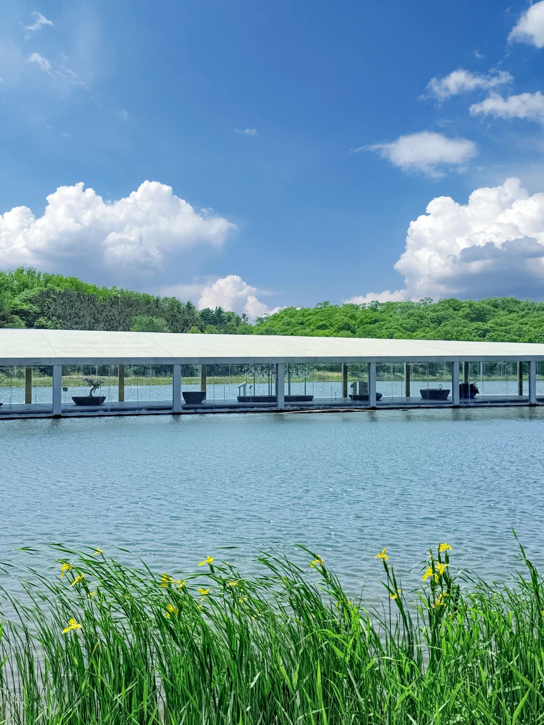 山东小阿那亚🌲99%人不知道的宝藏艺术小镇