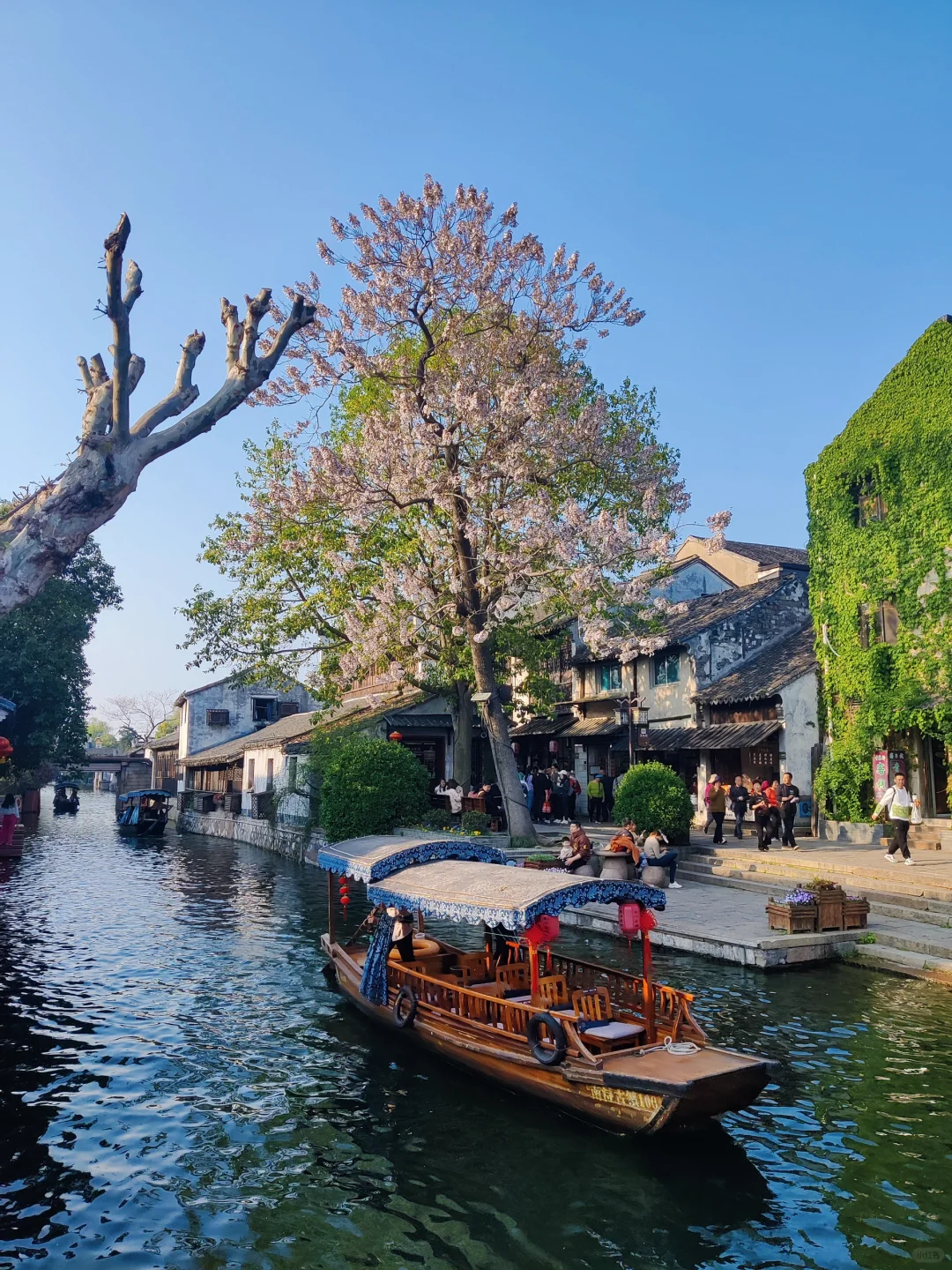 以为乌镇已经够美了，直到去了一趟南浔