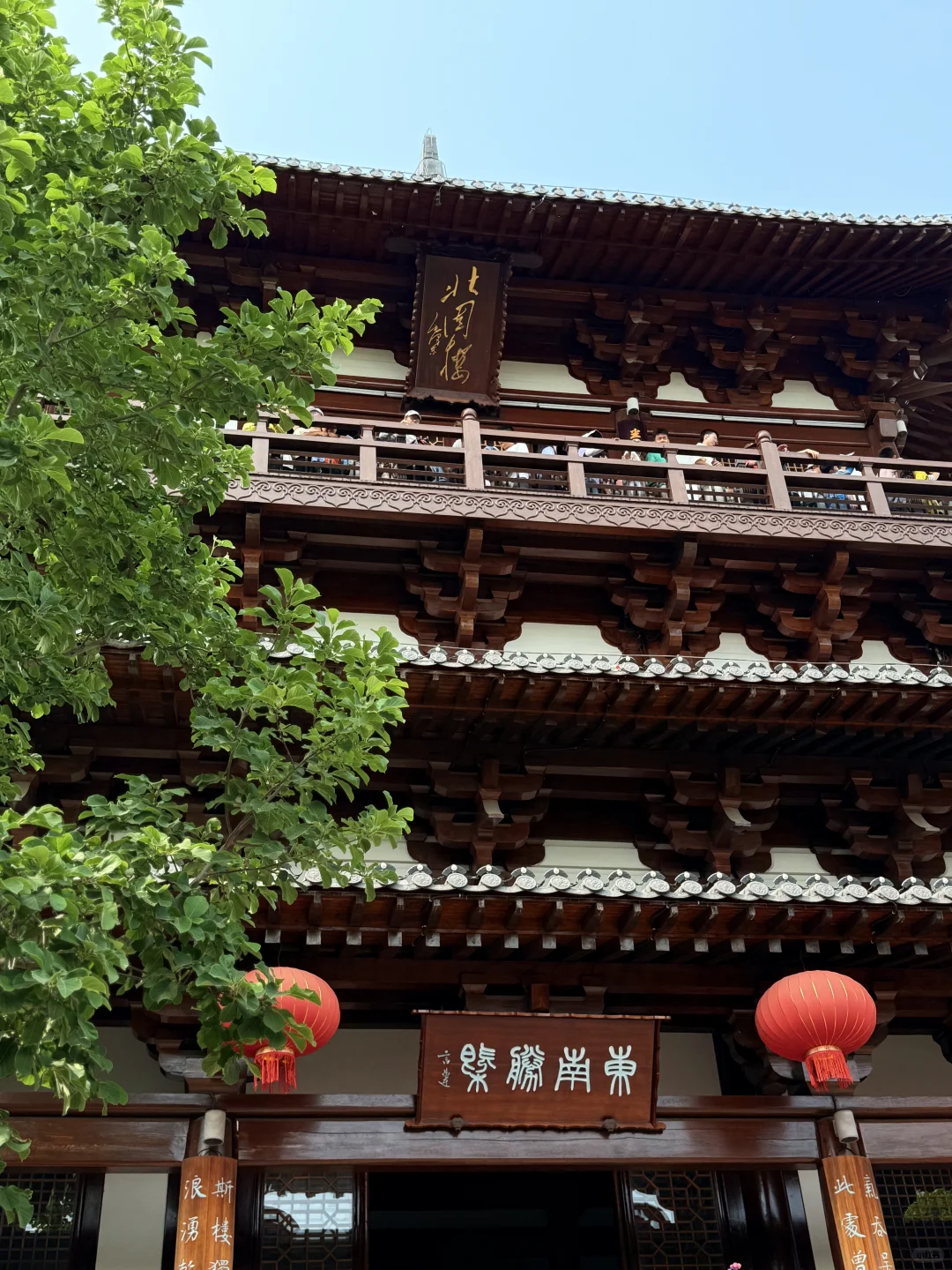 2天1夜镇江游—主打一个慢悠悠