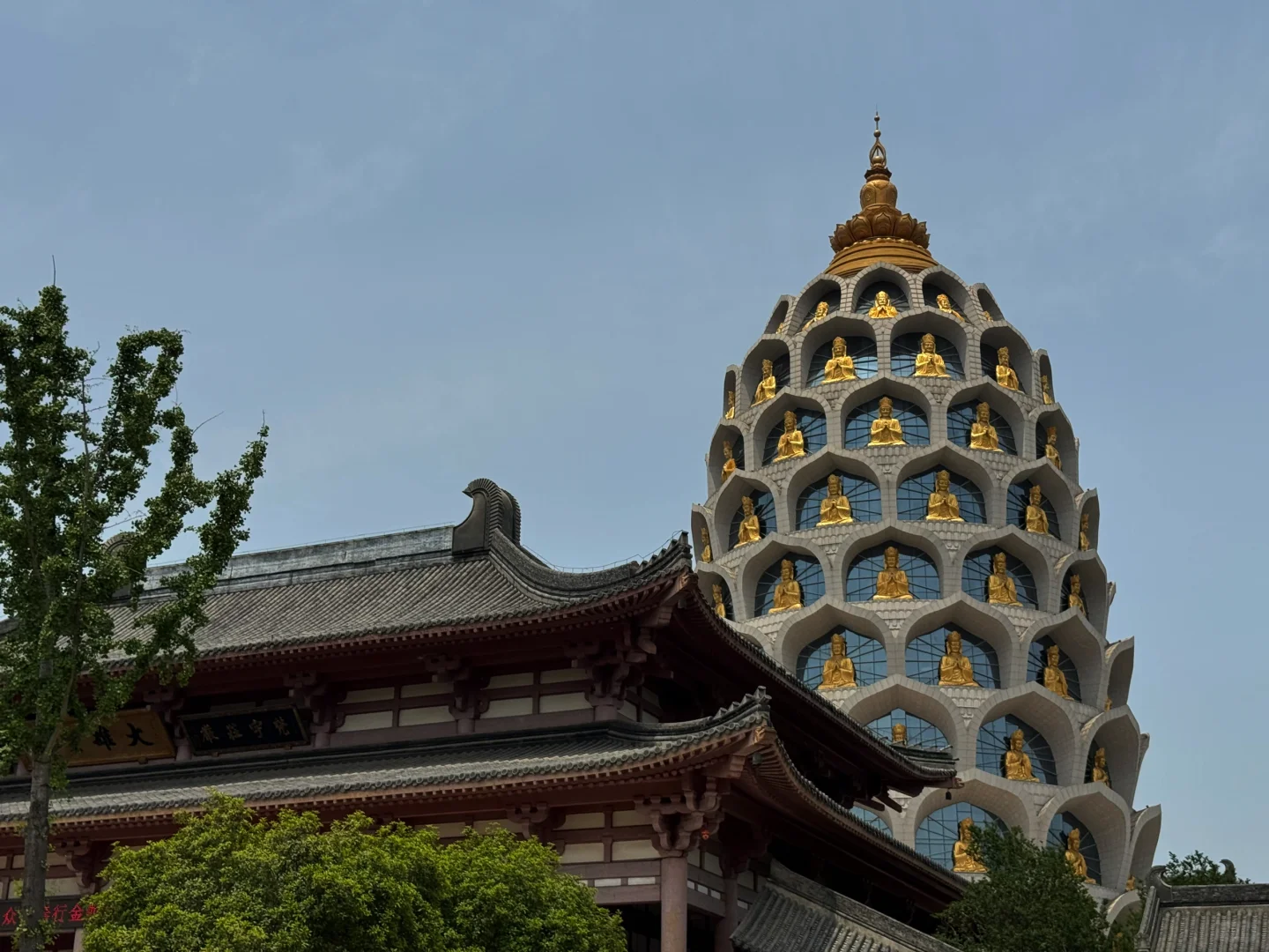 五一常州自驾游day4