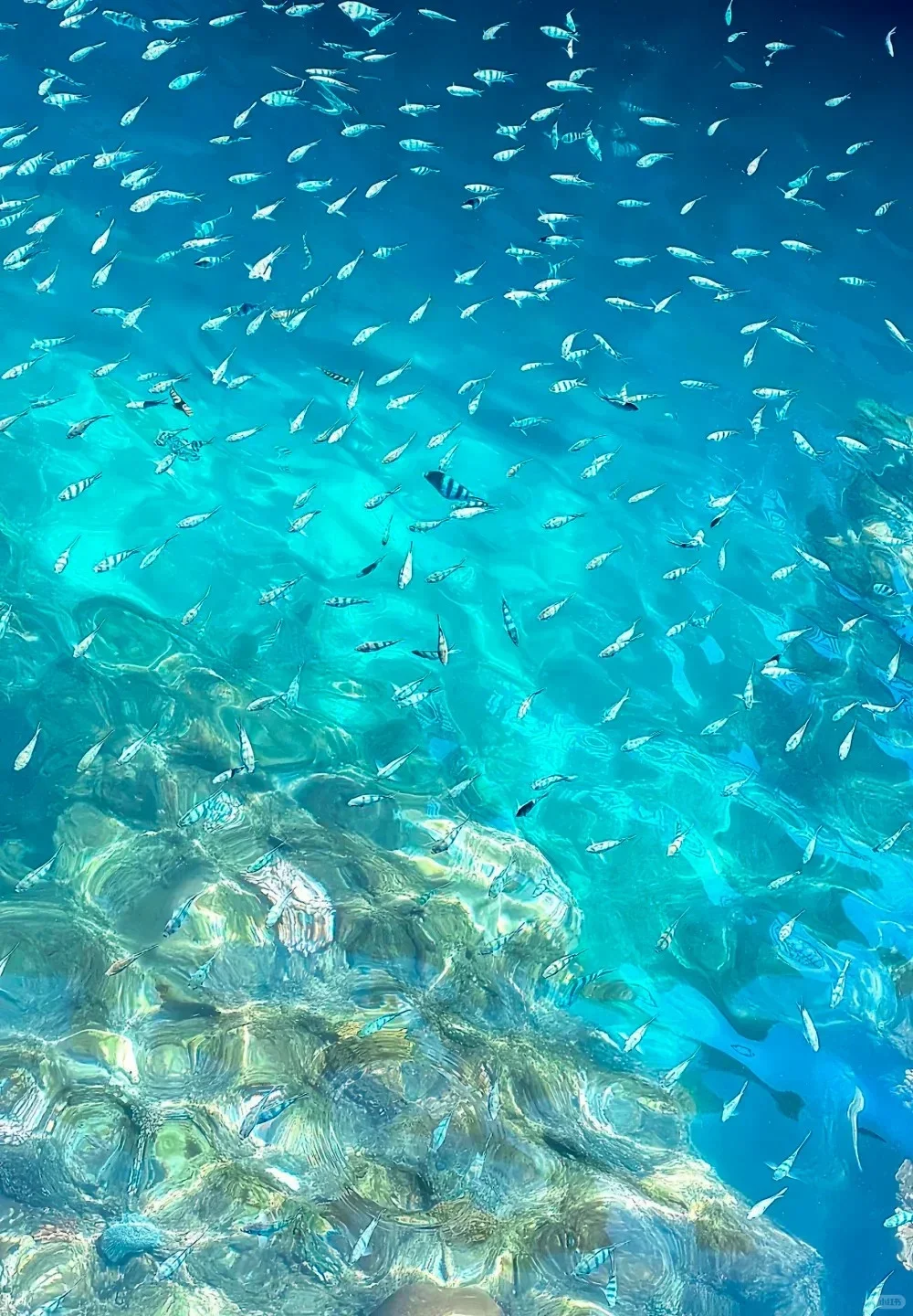 🌴愿每个来三亚的人，都能刷到这篇旅游攻
