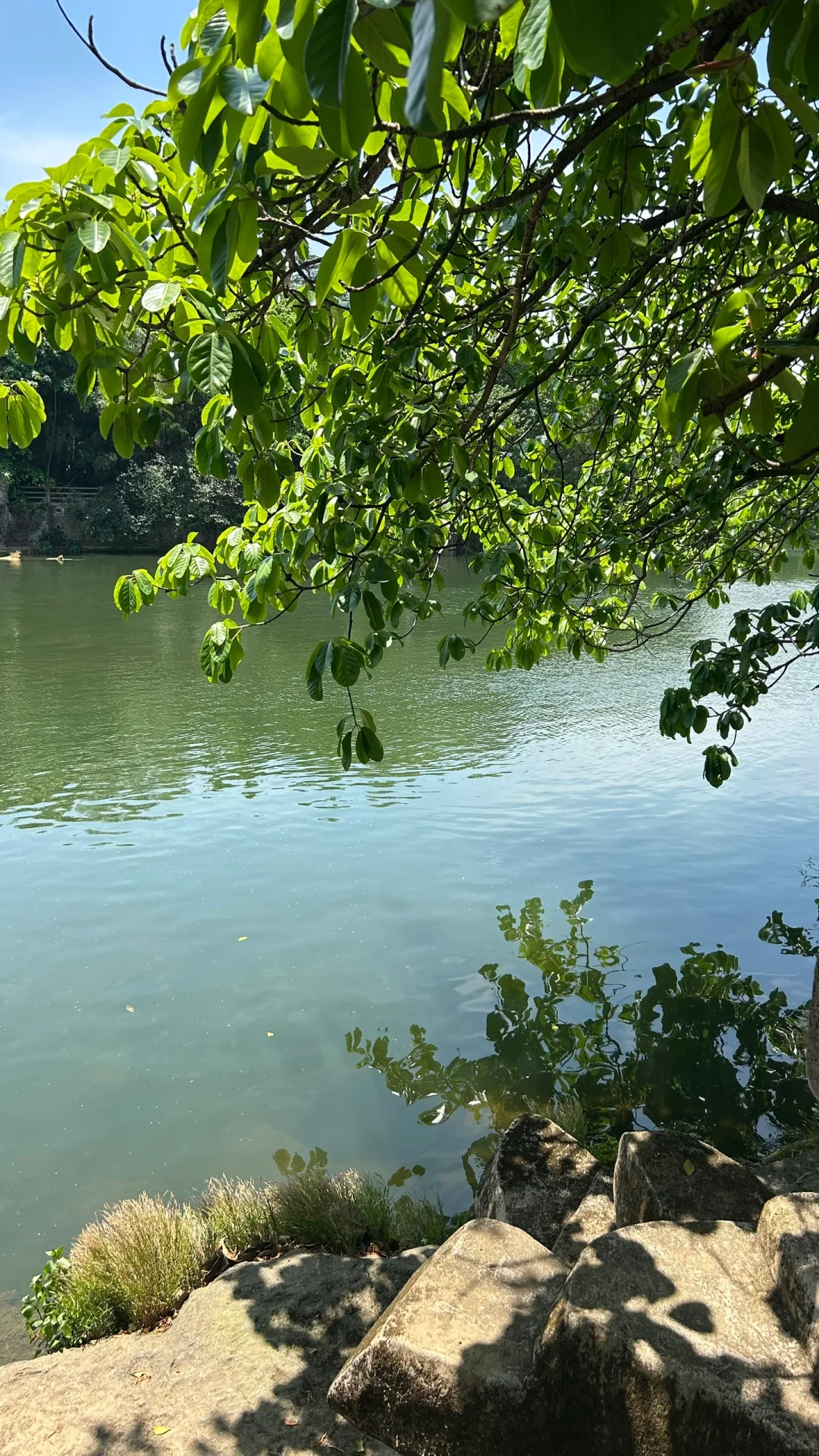 黄果树瀑布真是不去胜似去